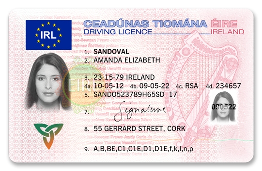 Track Driving Licence Application Ireland